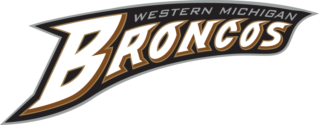 Western Michigan Broncos 1998-Pres Wordmark Logo diy DTF decal sticker